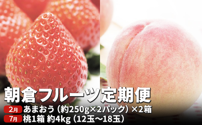 定期便 フルーツ2回 限定 数量 いちご約1kg もも約4kg フルーツ定期便 朝倉 2024年発送 お届け 桃 モモ イチゴ あまおう 果物 くだもの デザート オンライン決済限定 配送不可:離島