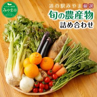 A7 　旬の農産物セット