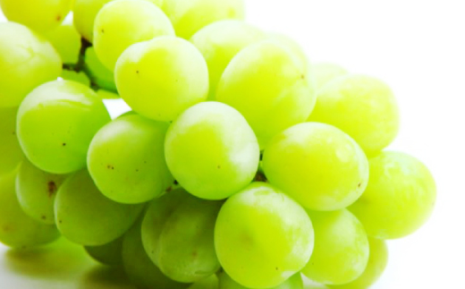 A8 【2025年9月上旬から順次発送予定】シャインマスカット 約1.2kg マスカット ぶどう 葡萄