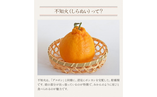 A202 ひとくち不知火 1kg×2袋 合計2kg みかん むかん 九州産 不知火 無添加 冷凍 福岡県 みやま市