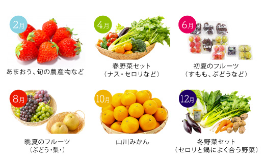 D2  かくげつの逸品 偶数月 特産品 旬 フルーツ 果物 野菜 セット 農産物 定期