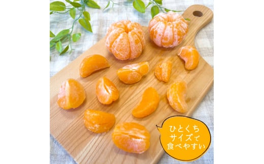 T13 ひとくちむかん 1kg