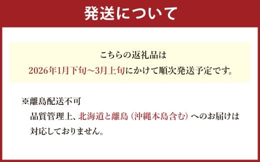 T21 あまおういちご2パック （約270g×2パック） 計約540g 【2026年1月下旬～3月上旬迄順次発送予定】 あまおう いちご ギフト フルーツ 果物 苺 くだもの 果実 福岡県 みやま市