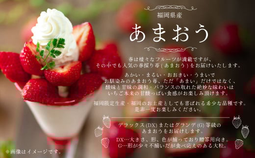 【春】 あまおう 6パック