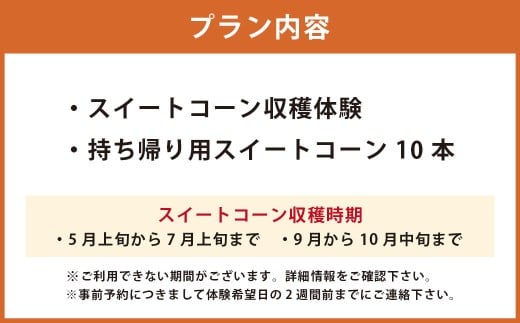 F4 アッキーファーム スイートコーン収穫体験（スイートコーン10本込み）