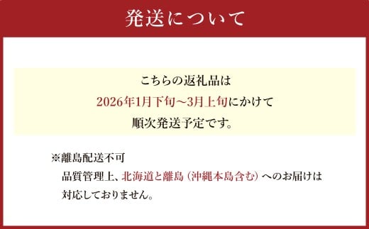 A1 あまおう いちご 4パック（約270g×4パック　計約1,080g）【2026年1月下旬～3月上旬迄順次発送予定】 苺 フルーツ 果物 くだもの 福岡県
