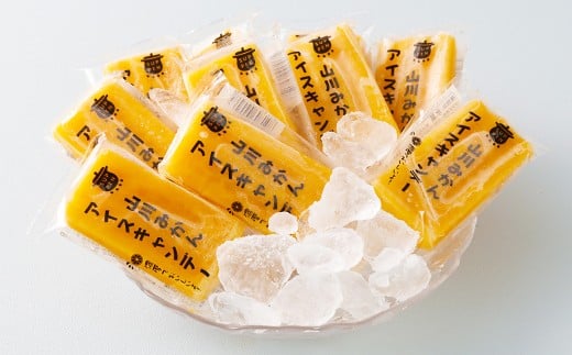 A319 山川みかんアイスキャンデー 100ml×10本セット