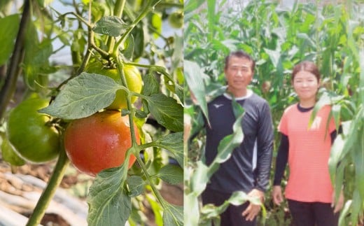 A322 アッキーファームの旬の野菜詰合せ福袋（野菜3種）