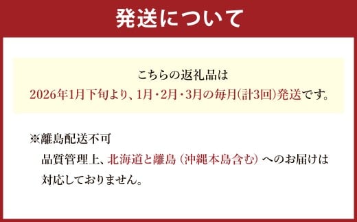 B52【3回定期便】 あまおういちご （約270g×2パック）?3回 合計約1,620g 【2026年1月下旬に第1回目発送予定】 定期 あまおう いちご ギフト フルーツ 果物 福岡県 みやま市