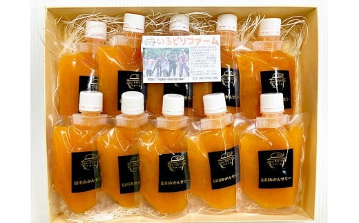 いろどりファーム・山川みかんゼリー詰合せ（150g×10個入り）