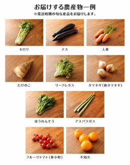 A7 　旬の農産物セット