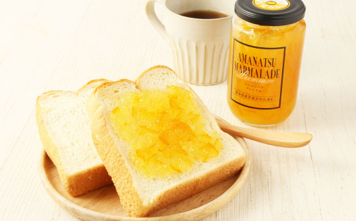 B22 甘夏みかん マーマレード 400g×8本 瓶入り 柑橘 ジャム