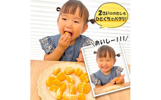 T13 ひとくちむかん 1kg