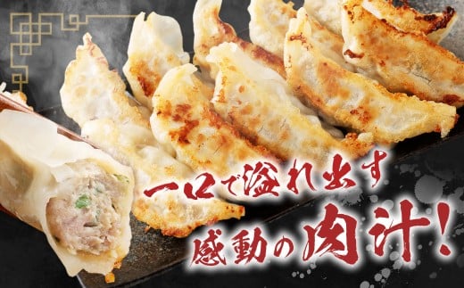 A328 驚愕の肉80%使用！ 肉ニクホルモン餃子 1パック25個入り 680g×4パック （合計100個） 冷凍餃子 餃子 惣菜 弁当 おかず 小分け 冷凍 福岡県 みやま市