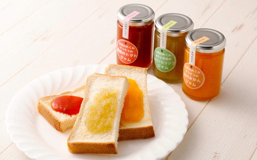 太陽の恵み みやまのジャムのセット 3本入