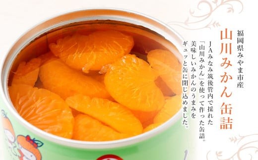 山川みかん缶詰 12缶セット 【2026年1月下旬以降順次発送予定】