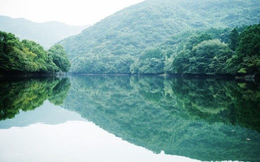 【隔月12ヶ月定期便】【令和7年産】 毎月届く国際大会金賞「みやま米」 各2kg×2袋