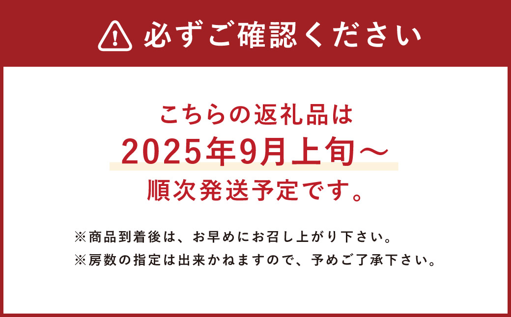 A8 【2025年9月上旬から順次発送予定】シャインマスカット 約1.2kg マスカット ぶどう 葡萄