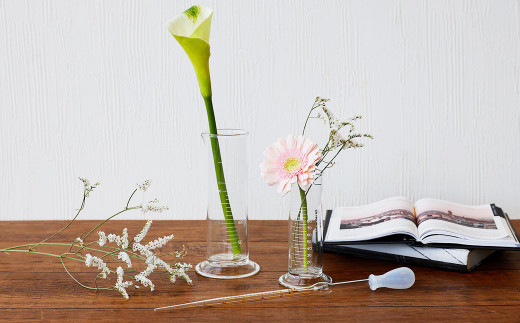 A109 理化学雑貨 多目的セット シリコン スポイト 耐熱ガラス 実験