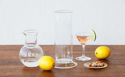 A113 サイエンス 宅飲み セット どっしりンダー 時計皿 徳利 耐熱