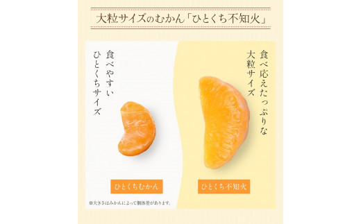 A202 ひとくち不知火 1kg×2袋 合計2kg みかん むかん 九州産 不知火 無添加 冷凍 福岡県 みやま市