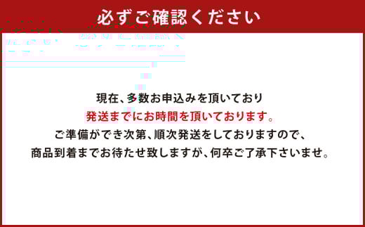 B19【みやま 和牛 A5ランク】すき焼き 用 肩ロース 3～4人前（約500g）すきやき
