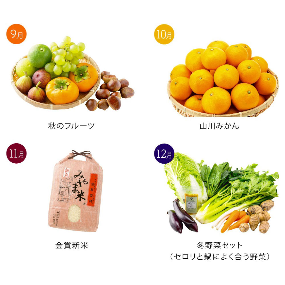 E1 毎月届くみやまの逸品 定期 特産品 野菜 果物 フルーツ 米 酒 味噌 茶 旬