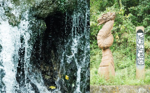 【隔月6ヶ月定期便】【令和7年産】 隔月で届く国際大会金賞「みやま米」 各2kg×4袋