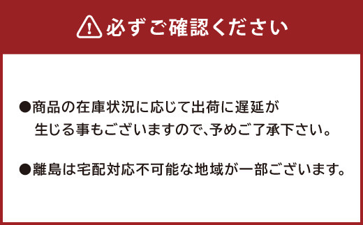 B27 たけのこ 水煮 カットハーフ 200g×10パック