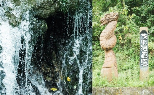 【隔月6ヶ月定期便】【令和7年産】 隔月届く国際大会金賞「みやま米」 各2kg×2袋