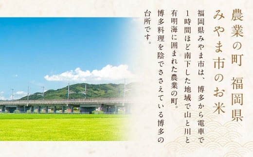 福岡県産 白米10kg (10kg×1袋) 銀座の料亭 ご愛用のお米