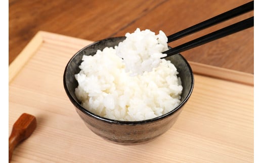 A174 夢つくし パック ご飯 (200g×3袋)×8袋 計24パック 合計4.8kg お米 米 白米 福岡県 みやま市