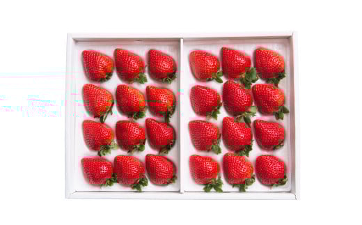 【ギフト】 あまおう 24～30粒