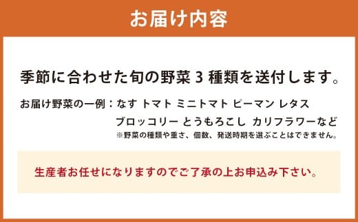 A322 アッキーファームの旬の野菜詰合せ福袋（野菜3種）
