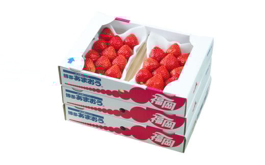 【春】 あまおう 6パック