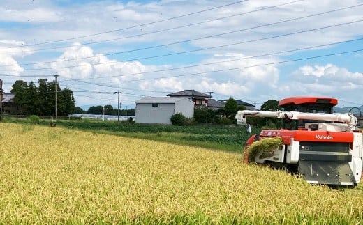 アッキーファームのお米「ひのひかり」 5kg（白米）