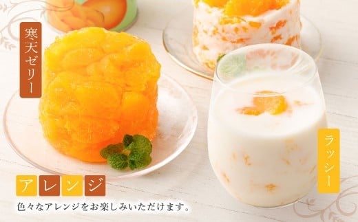 山川みかん缶詰 12缶セット 【2026年1月下旬以降順次発送予定】