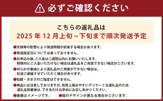A331 福岡県産あまおう＆山川みかん詰合せ（あまおう12-15粒、山川みかん9-12玉） いちご イチゴ 苺 みかん ミカン 蜜柑 果物 くだもの フルーツ 詰合せ 【2025年12月中順次発送予定】