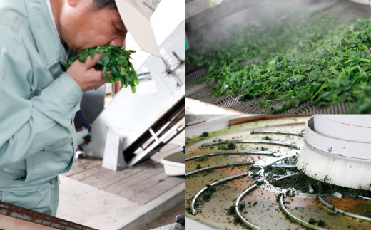 A41 八女の和紅茶スパークリングサイダーＲｅｄ（５本セット）