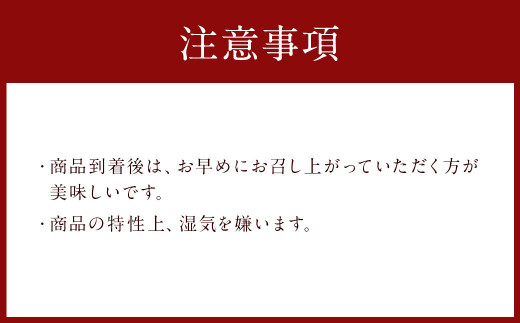 C22 有明海産 焼き立て 焼のり 10枚入りを10袋（全形100枚分） のり 海苔 焼海苔 100枚