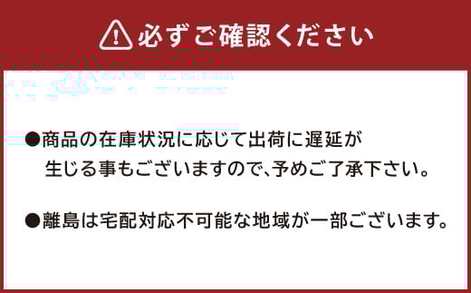 たけのこ組合セット