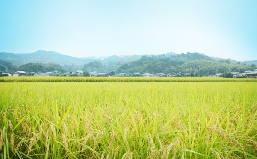 【隔月6ヶ月定期便】【令和7年産】 隔月届く国際大会金賞「みやま米」 各2kg×2袋