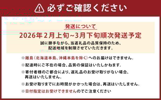 【春】 あまおう 6パック