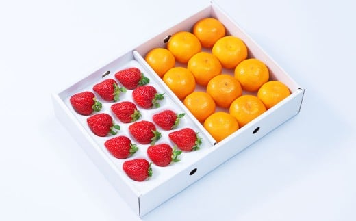 A331 福岡県産あまおう＆山川みかん詰合せ（あまおう12-15粒、山川みかん9-12玉） いちご イチゴ 苺 みかん ミカン 蜜柑 果物 くだもの フルーツ 詰合せ 【2025年12月中順次発送予定】