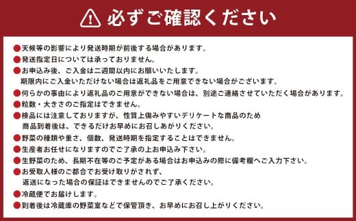 A322 アッキーファームの旬の野菜詰合せ福袋（野菜3種）