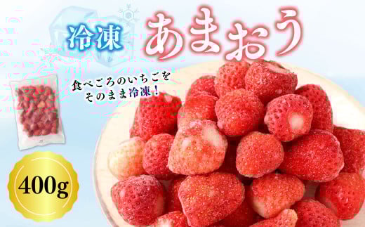 A192 冷凍あまおう 合計 1袋(400g) 冷凍 あまおう いちご イチゴ 福岡県 みやま市