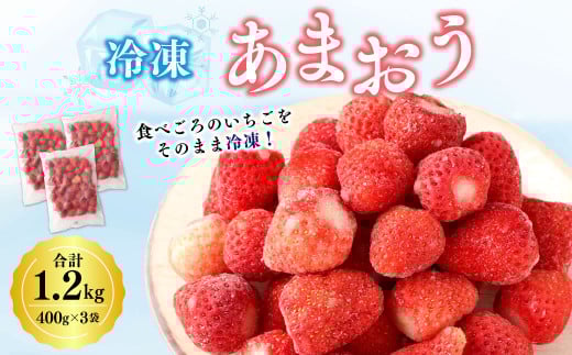 A194 冷凍あまおう×3袋 合計 3袋(1.2kg) 冷凍 あまおう いちご イチゴ 福岡県 みやま市