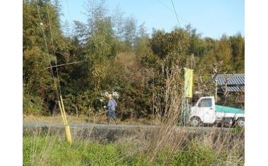 A33 ふるさとの家管理サービス