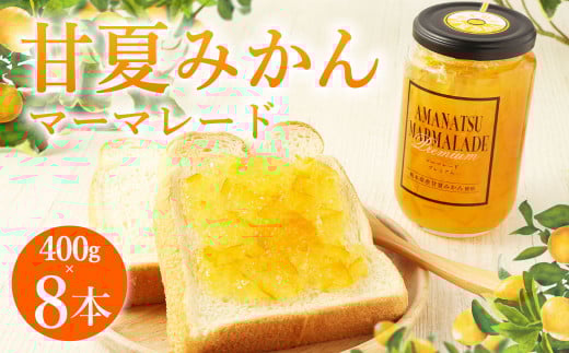 B22 甘夏みかん マーマレード 400g×8本 瓶入り 柑橘 ジャム
