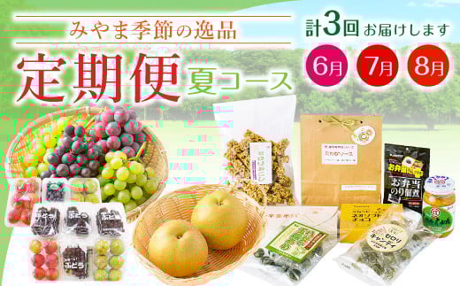 C2 季節の逸品 夏 特産品  定期 フルーツ 詰め合わせ すもも ぶどう デラウェア 梨